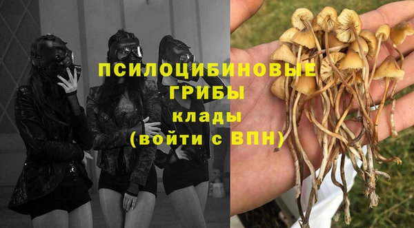 первитин Белоозёрский