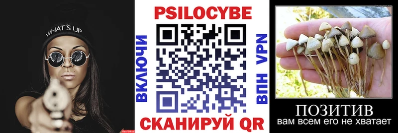 MEGA маркетплейс  цены наркотик  Плёс  Галлюциногенные грибы GOLDEN TEACHER 